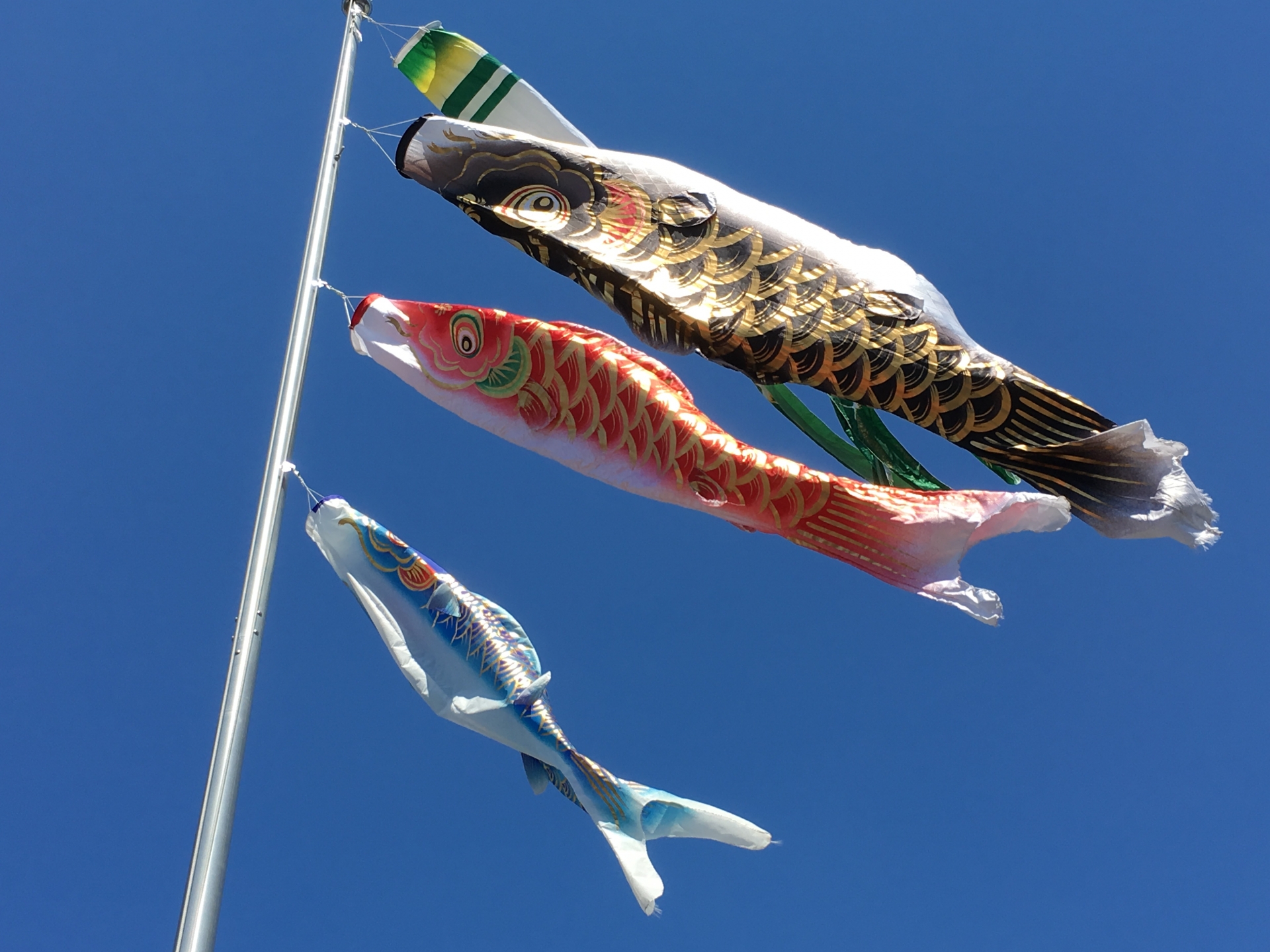 名古屋で開催するGWの出会いイベント情報！