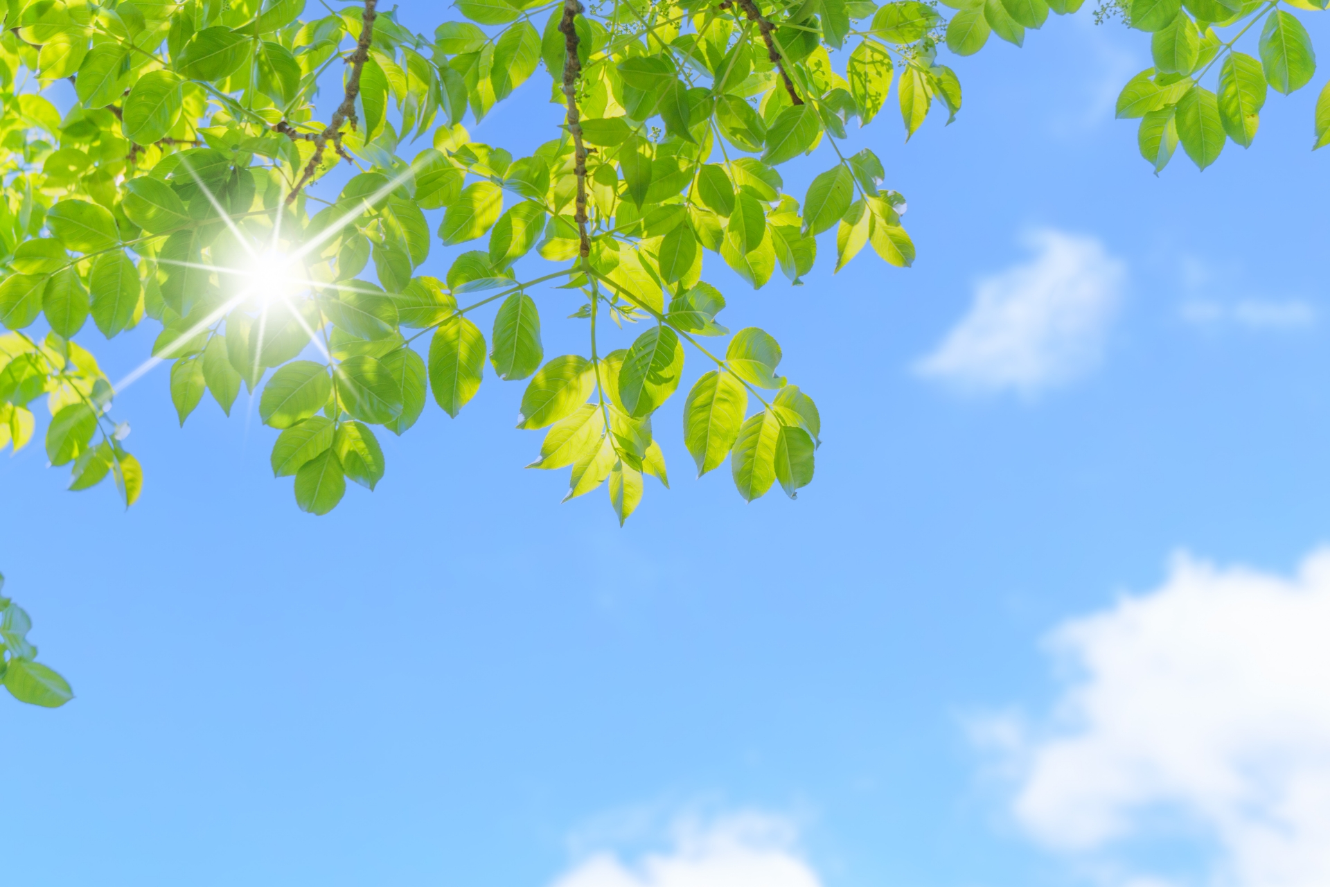 豊橋市で参加できるGWの恋活・街コンパーティー特集！