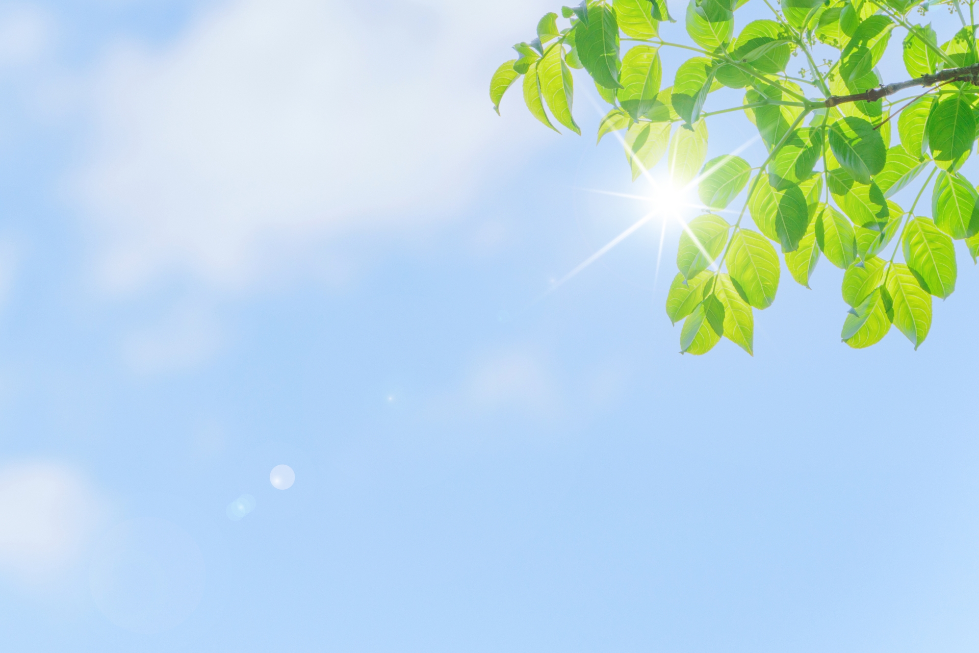 中洲エリアでGWにおすすめする婚活パーティーの開催情報をお届け！