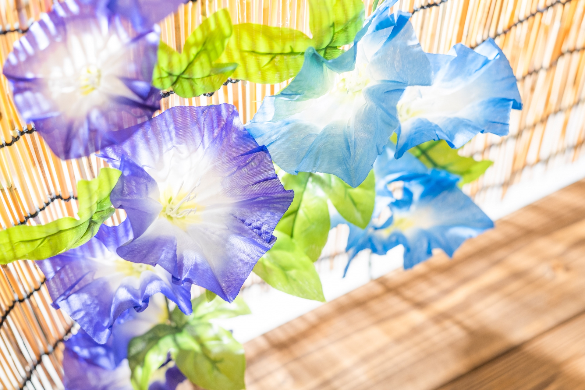 佐世保から参加できる夏のイベント・サマーイベント特集一覧