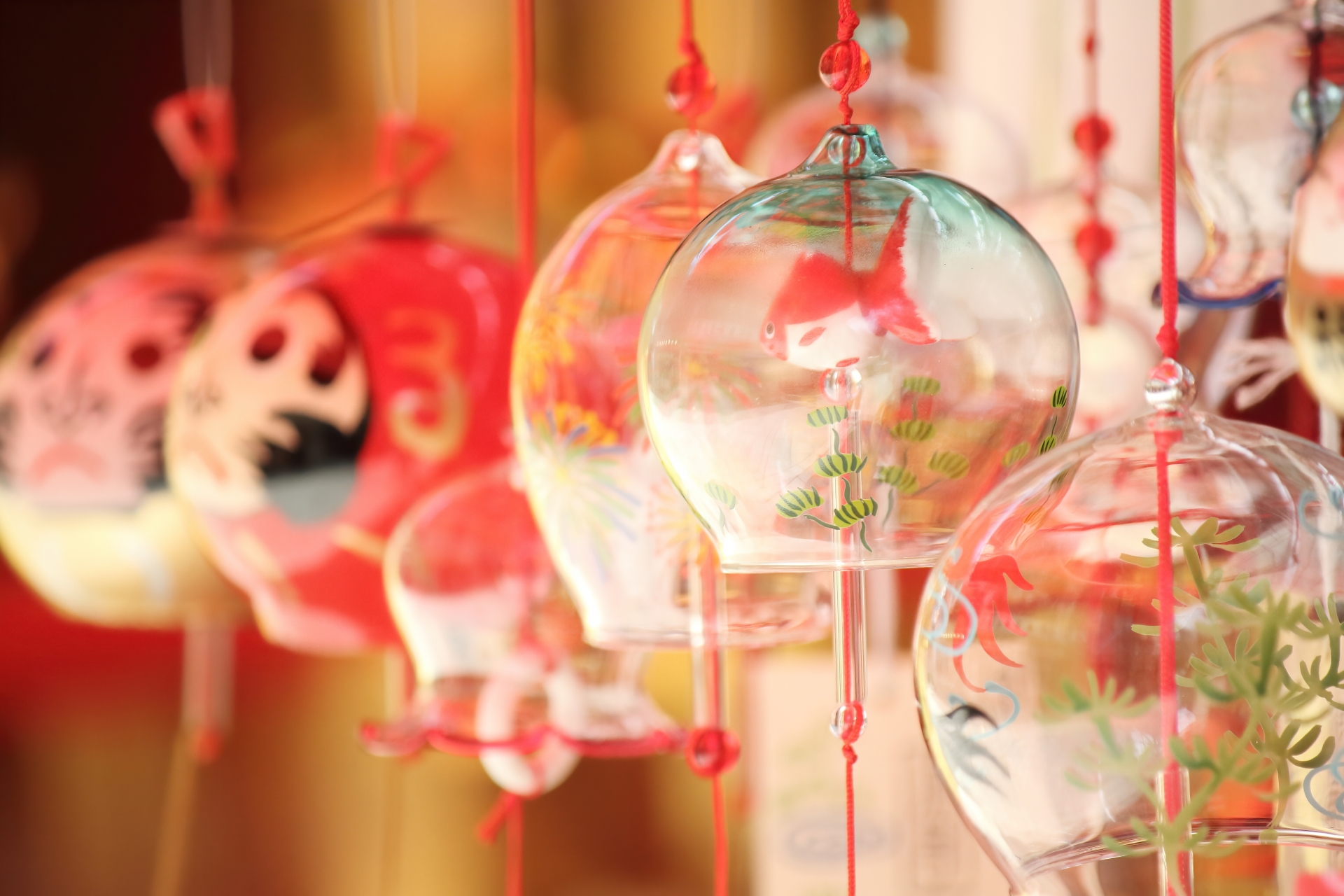 櫻井から参加できる夏のイベント・サマーイベント特集一覧